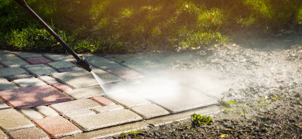 Best Dumpster Area Cleaning  in Walden, NY